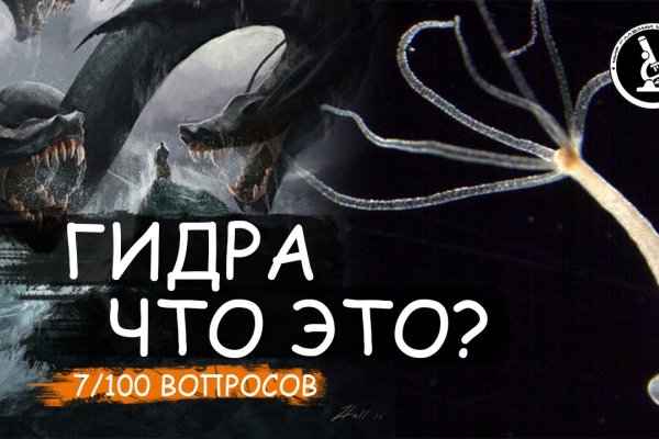 Kraken телеграмм