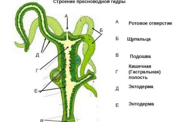 Даркнет наркотики